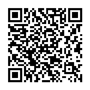 现在才区区大圣域就讨论如何离开遗忘大陆太远了二维码生成