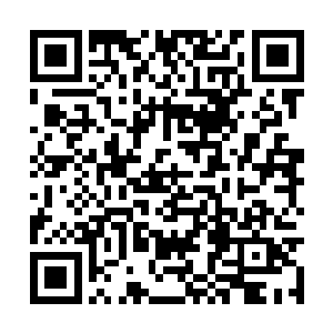 现在才有兵给你们…………反正没费老子一文本钱二维码生成