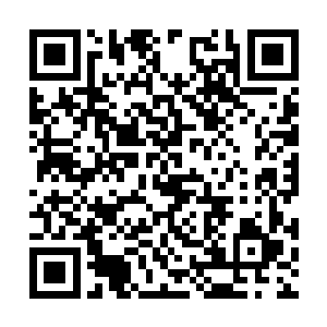 现在打了八折之后他们可是能够节省一大笔资金的二维码生成