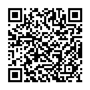 现在掌门总会有事没事到炼丹阁来查看一下情况二维码生成