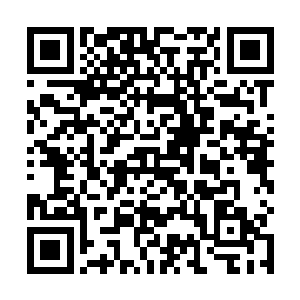 现在数量对于龙傲天来说根本就不能够弥补实力的差距二维码生成