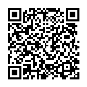 现在整个东方世家之中恐怕没有人能敌得过东方家主二维码生成