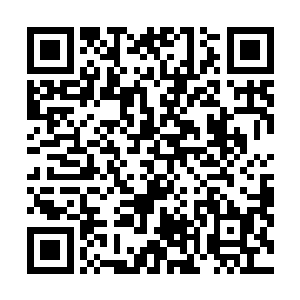 现在整个天域中能够威胁到我们天龙宗的人已经不存在了二维码生成