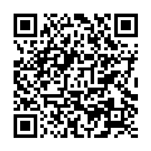 现在整个战略推演中心都知道有你这样一个不要命的小丫头存在二维码生成
