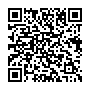 现在整个洞天福地当中的仙力全都向他聚集过去二维码生成