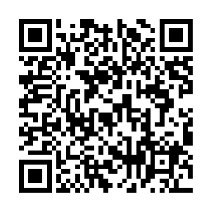 现在既然有这么多的武装直升机全都追到了这里来二维码生成