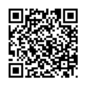 现在是为你们的行为付出代价的时候了二维码生成