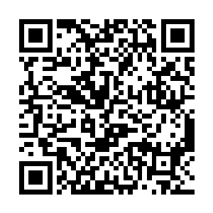 现在是几个由南方巫师联盟派来的仲裁员在商量结果二维码生成