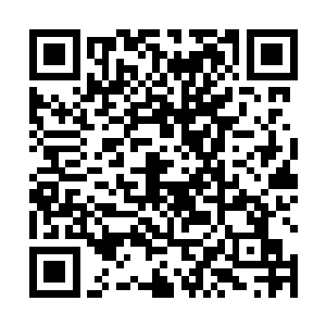 现在是被你供在龙虎山天师府的落神灰捏成的小人里面二维码生成