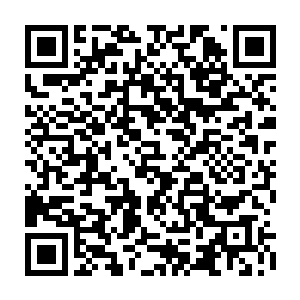 现在更享受其他人享受不到的美食和福利……任何圈外人都会觉得愤愤不平二维码生成