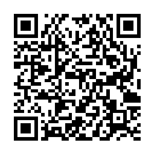 现在最主要的任务就是想个办法将那十一个人带出焚天宗啊二维码生成