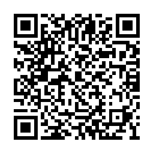 现在最好的结果就是丁二狗的省城之行没有白费二维码生成