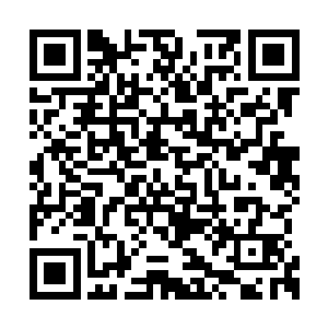 现在最总要的是把隐藏在暗中的那只老鼠找出来二维码生成