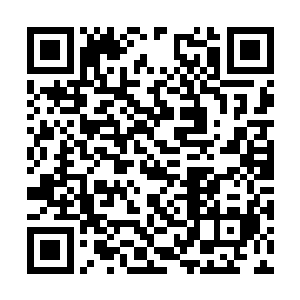 现在最重要的是在信义阁没找到圣主之前赶紧撤离二维码生成