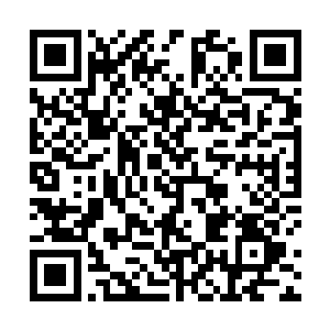 现在最麻烦的是那个小女孩儿好像暂时还没有死的意思二维码生成