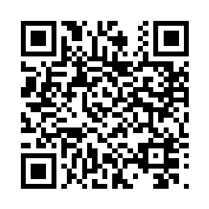 现在有了灰烬之塔的主人为我做证人二维码生成