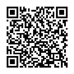现在有点相信了他是万年难得一见的纹师天才了二维码生成