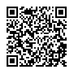 现在杨戬已经可以初步的断定这条矿脉绝对至少是大型矿脉二维码生成