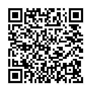 现在杨戬想要趁这个机会将这些材炼制几件护甲二维码生成