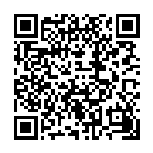 现在梅尔的脑袋和皮球的脑袋几乎在一个水平线上二维码生成