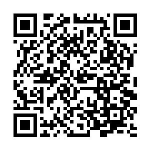 现在梓箐和宝贝亲亲除了每次公布坐标收获的100万金二维码生成