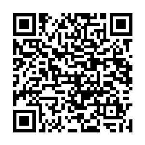 现在榆城的人谁不知道云擎这个铁血的汉子疼老婆二维码生成