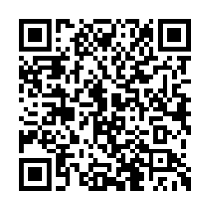 现在欢喜哥又把目光投放到了那些金花茶的身上二维码生成