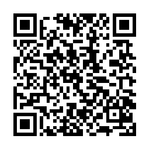 现在正有二三十个华国游客乱糟糟的在办理各种手续二维码生成