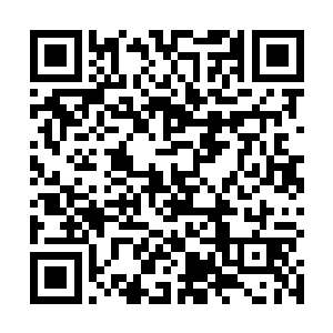 现在此刻在众人的心中皆是将鬼王萧腾给咒骂的千万遍二维码生成