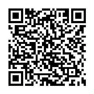 现在毒龙会的小弟主要任务是在毒龙会各个酒店二维码生成