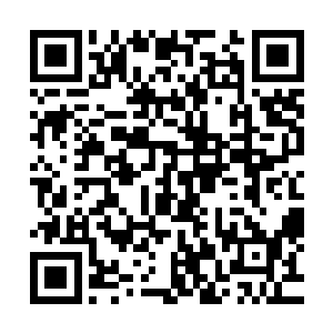 现在没有了北面跟南面的威胁整个帝国的防务也会轻松上很多二维码生成