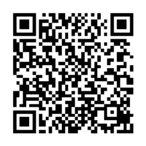 现在没有人会在这里听你的辩白和看你的表演了二维码生成