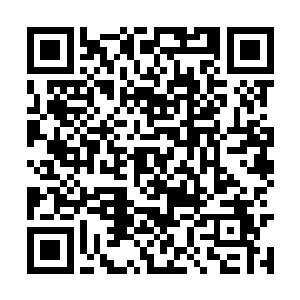 现在洪涛那个地下室里的三个通长的木质大酒架上二维码生成