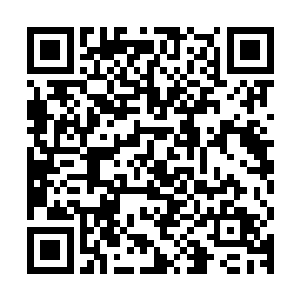 现在海角城聚集了来自于人域各城以及天空之城各大家族的援兵二维码生成