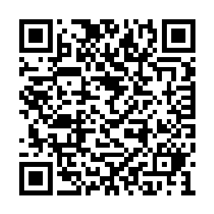 现在潘师兄貌似还带了镇院之宝秋山枫红图进去二维码生成