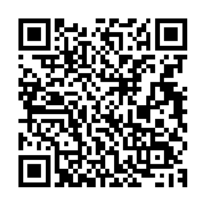 现在熊孩子的异能已经不再是画个圈圈祝福你和画个圈圈诅咒你二维码生成