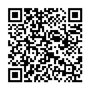 现在父亲这个兵部尚书也成了被人争夺的对象了二维码生成