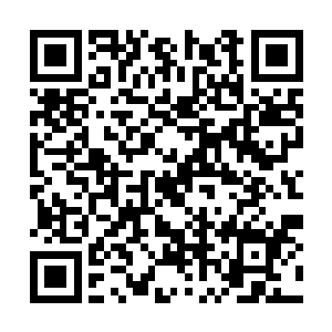 现在特蕾西的煽风点火不仅没有起到相对应的作用二维码生成