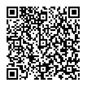 现在界珠当中能够开启五倍的修炼速度 你在这里修炼一天 比得上外面的五十天 二维码生成