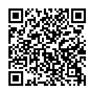 现在登场的是世界著名空手道道场武真会馆的第一高手二维码生成