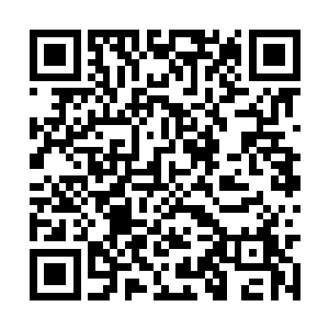 现在的他体内虚气已经可以缓缓的覆盖在全身上下二维码生成
