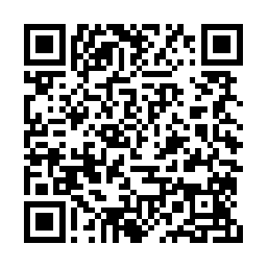 现在的他只想好好找个舒服的床美美的睡上一觉二维码生成