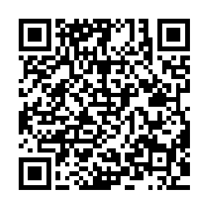 现在的关键在于巴大哥的青年城海盗山什么时候能够初见规模二维码生成