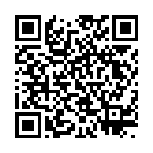 现在的华夏民国已经拥有了不下六十架战机二维码生成