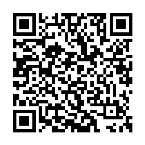 现在的叶家委实是真的已经到了生死存亡的关头二维码生成