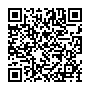 现在的圣山之上也没有了以往的那股恐怖的威压二维码生成