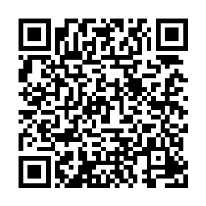现在的城主府和三大商行之间的仙战已经结束了二维码生成