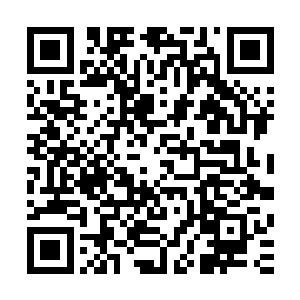 现在的夏天实力跟之前他们印象中的已经完全不是一个档次了二维码生成