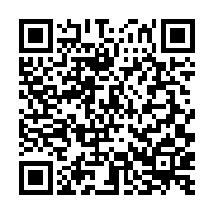 现在的夏天早就已经不是那个刚刚离开地球的小子了二维码生成