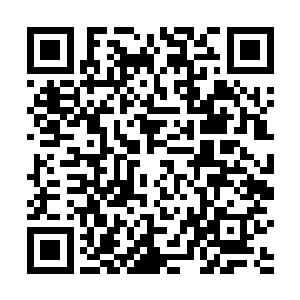 现在的天外天四大主宰之所以能够成为这等巅峰的存在二维码生成